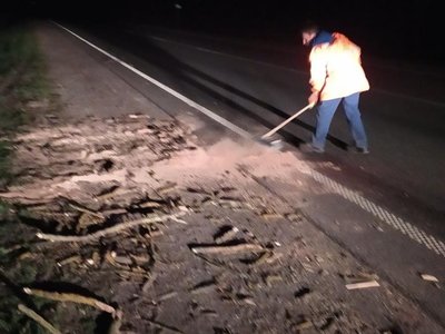вітер повалив дерева, буревій вітер повалив дерева, буревій