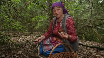 Лисички та білі продають, сироїжки для себе, а підберезники — для родичів: як збирають гриби на півночі Чернігівщини Лисички та білі продають, сироїжки для себе, а підберезники — для родичів: як збирають гриби на півночі Чернігівщини