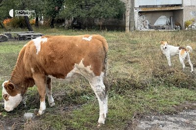 Степанівка Донецька область 15 жовтня 2025 рік Степанівка Донецька область 15 жовтня 2025 рік