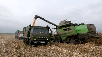 Урожай є, прибутку немає: чому аграрії Чернігівщини змушені скорочувати посіви