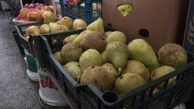 Скільки коштують сезонні овочі та фрукти на ринку у Рівному Скільки коштують сезонні овочі та фрукти на ринку у Рівному