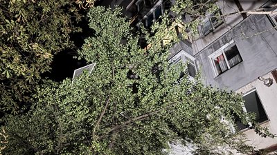 Російська армія атакувала дронами Кропивницький: пошкоджена багатоповерхівка, травмована жінка Російська армія атакувала дронами Кропивницький: пошкоджена багатоповерхівка, травмована жінка