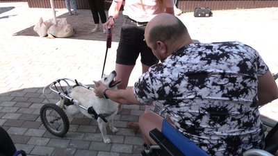 Каністерапія для поранених бійців