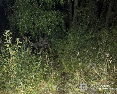 У Житомирському районі в аварії загинув 29-річний водій авто У Житомирському районі в аварії загинув 29-річний водій авто