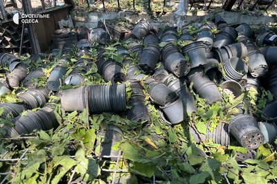 "Теплиця зруйнована вщент": у Ботанічному саду ОНУ ім. Мечникова розповіли про наслідки обстрілу "Теплиця зруйнована вщент": у Ботанічному саду ОНУ ім. Мечникова розповіли про наслідки обстрілу