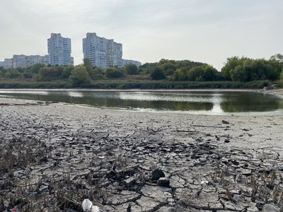 "Кернел" звинуватили у незаконному скиді нечистот до Пушкарівських ставків у Полтаві: яка реакція "Кернел" звинуватили у незаконному скиді нечистот до Пушкарівських ставків у Полтаві: яка реакція