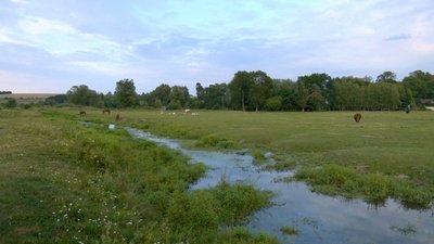 Річка, річка Свинорийка Річка, річка Свинорийка