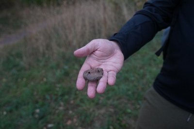 Скіфська кераміка, прикраси і давнє поселення: що розповідає пошуковцям екопарк "Верижиця" у Сумах Скіфська кераміка, прикраси і давнє поселення: що розповідає пошуковцям екопарк "Верижиця" у Сумах