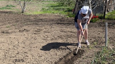 Оксана засіває на городі Городещине Донецька область 23 квітня 2025 рік Оксана засіває на городі Городещине Донецька область 23 квітня 2025 рік