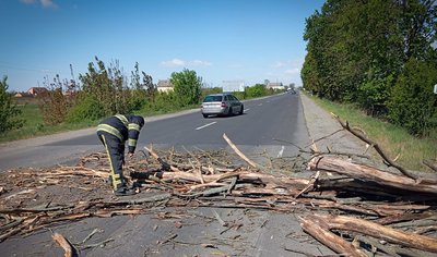 Негода на Закарпатті: через падіння дерева загинув чоловік Негода на Закарпатті: через падіння дерева загинув чоловік