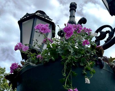 В Одесі восени висадять 380 дерев і підготують теплиці до зими В Одесі восени висадять 380 дерев і підготують теплиці до зими