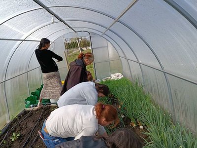 "Коли людина працює з землею, вона заспокоюється": у шелтері на Рівненщині практикують садотерапію "Коли людина працює з землею, вона заспокоюється": у шелтері на Рівненщині практикують садотерапію