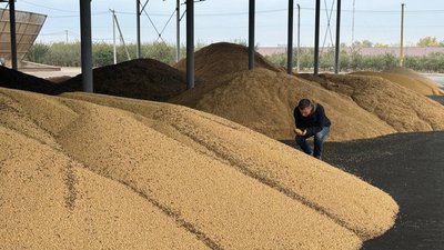 Змінили правила експорту сої та ріпаку: на Кіровоградщині аграрії подали перші заявки на пільгу Змінили правила експорту сої та ріпаку: на Кіровоградщині аграрії подали перші заявки на пільгу