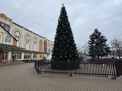 Ялинка у Миргороді