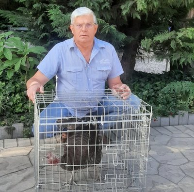 В Одеському зоопарку розповіли, яких тварин із затоплених районів Херсонщини можуть прийняти В Одеському зоопарку розповіли, яких тварин із затоплених районів Херсонщини можуть прийняти