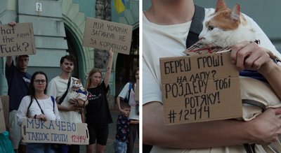 У Мукачеві вийшли на мітинг проти закону, що обмежує незалежність НАБУ і САП У Мукачеві вийшли на мітинг проти закону, що обмежує незалежність НАБУ і САП