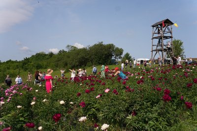 Заїхати в Холодний Яр і не зламати авто: які туристичні локації обрати на Черкащині Заїхати в Холодний Яр і не зламати авто: які туристичні локації обрати на Черкащині