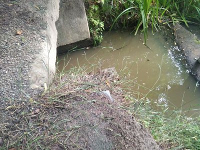Вода після скиду невідомої речовини Вода після скиду невідомої речовини