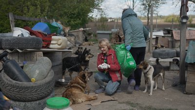 Притулок для собак Притулок для собак