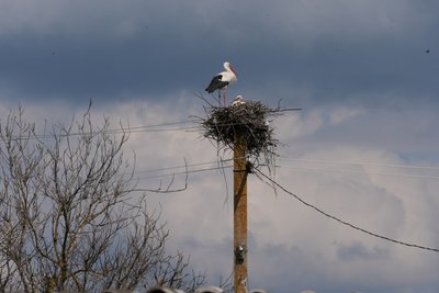 "За нас робити — ніхто не буде". (Без)Перспективи: щоденники забутих сіл. Велике Артакове "За нас робити — ніхто не буде". (Без)Перспективи: щоденники забутих сіл. Велике Артакове