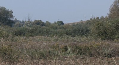 Очисні споруди, орнітологічний заказник Очисні споруди, орнітологічний заказник