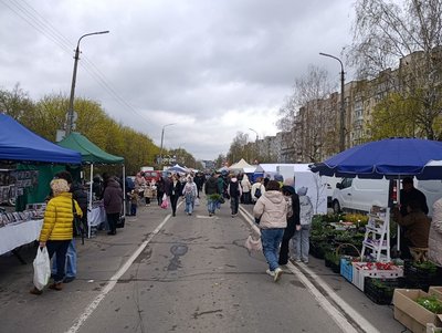 Ярмарок "Квітуча Україна" організували на вулиці Прибузькій Ярмарок "Квітуча Україна" організували на вулиці Прибузькій