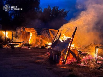 На Київщині сталася пожежа у притулку «Сіріус»: загинули 8 собак На Київщині сталася пожежа у притулку «Сіріус»: загинули 8 собак