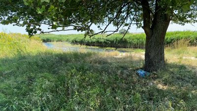 Берег річки Новогригорівка Дружківська громада Донецька область 9 липня 2025 рік Берег річки Новогригорівка Дружківська громада Донецька область 9 липня 2025 рік