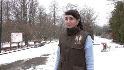 Для Валентинів та закоханих пар вхід безкоштовний: акція у Рівненському зоопарку Для Валентинів та закоханих пар вхід безкоштовний: акція у Рівненському зоопарку