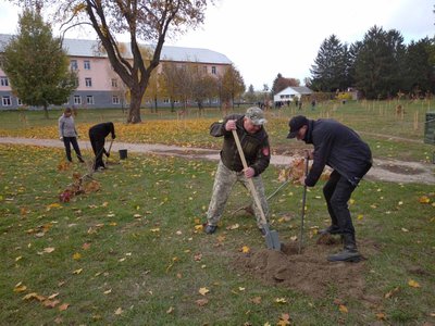 У парку в Овручі заклали дубовий гай в пам'ять про захисників, які віддали життя за Україну У парку в Овручі заклали дубовий гай в пам'ять про захисників, які віддали життя за Україну