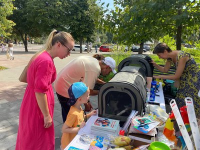 "Кішка народила в окопі": черкащани можуть прихистити кошеня