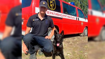 З собакою та дроном: рятувальники Львівщини всю ніч шукали у лісі заблукалу дитину З собакою та дроном: рятувальники Львівщини всю ніч шукали у лісі заблукалу дитину