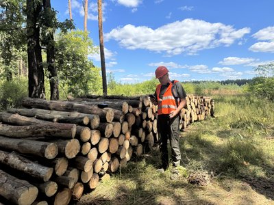 Зросли ціни та попит: на Полтавщині цьогоріч у лісництвах продали 160 тисяч кубів Зросли ціни та попит: на Полтавщині цьогоріч у лісництвах продали 160 тисяч кубів