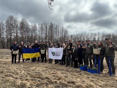 Відновлення після пожежі: на Полтавщині лісівники висаджують нові ліси