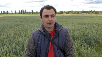 Спір за землю: жителі трьох сіл на Волині судяться з орендарем, бо не можуть забрати свої паї Спір за землю: жителі трьох сіл на Волині судяться з орендарем, бо не можуть забрати свої паї