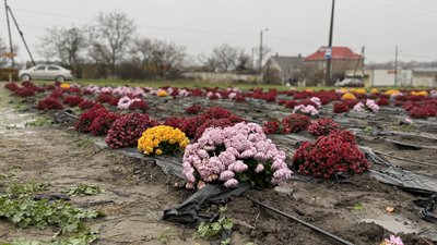 фотодобірка фотодобірка