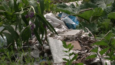 У Рівному засмічена стежка від Червонія до Гайдамацької У Рівному засмічена стежка від Червонія до Гайдамацької