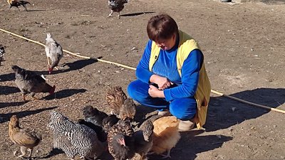 "Захоплення для душі": мешканка Луцького району вирощує понад сто сортів хризантем та десять порід птаства "Захоплення для душі": мешканка Луцького району вирощує понад сто сортів хризантем та десять порід птаства
