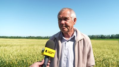 "Збір зерна буде меншим": чи буде Сумщина з урожаєм