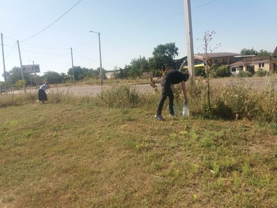 Кропивничани рятують дерева від спеки: "Благоустрій" не може охопити всі потреби Кропивничани рятують дерева від спеки: "Благоустрій" не може охопити всі потреби