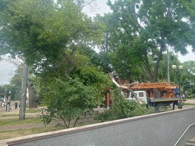 Через вітер в Одесі впали дерева та великі гілки Через вітер в Одесі впали дерева та великі гілки