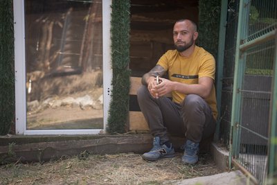 "Лапу довелося ампутувати": п’ятимісячне дитинча козулі врятували місцеві на Криворіжжі