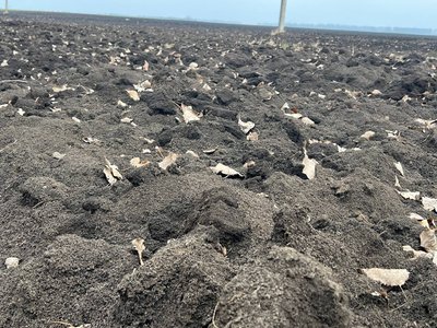 На Вінниччині дорожчає сільгоспземля: наскільки й чи є попит На Вінниччині дорожчає сільгоспземля: наскільки й чи є попит