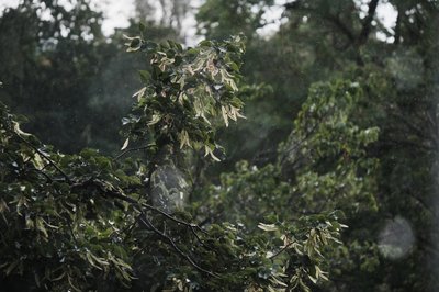 Дощ через віконне скло у Харкові 21 липня Дощ через віконне скло у Харкові 21 липня