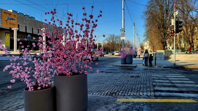 Прикраси у центрі Харкова, 28 лютого 2025 року Прикраси у центрі Харкова, 28 лютого 2025 року