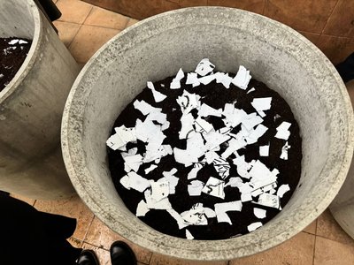 Проросте і заквітне: у ботанічному саду ім. Гришка висадили екопапір з живим насінням Проросте і заквітне: у ботанічному саду ім. Гришка висадили екопапір з живим насінням