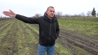 Яблука були збиткові: у селі на Черкащині сад викорчували під овочі Яблука були збиткові: у селі на Черкащині сад викорчували під овочі