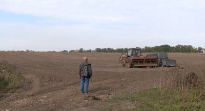 Посівна під тиском цін: як фермери засівають новий врожай Посівна під тиском цін: як фермери засівають новий врожай