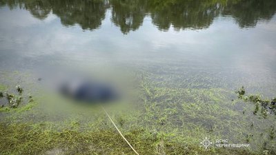 У Сеймі на Чернігівщині знайшли тіло потопельника У Сеймі на Чернігівщині знайшли тіло потопельника