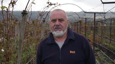 Виноградар Валерій Мущак Виноградар Валерій Мущак